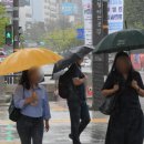 거제-거제-거제-비상-11 이미지