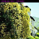 나라 차오름 이미지