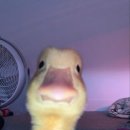 목동고등학교 이미지