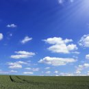 상기시키는 힘 이미지