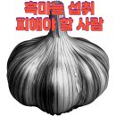 흑마늘의 모든 것 만드는 방법 주의사항까지 완벽 가이드 이미지