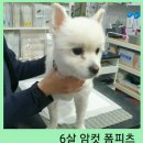 유성준동물병원 이미지