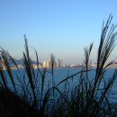 하늘색꿈 이미지