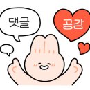 파스칼 스크린 이미지