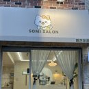 아이앤유 애견미용샵 | 성남/태평동 애견 미용_소미살롱
