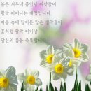 김귀용 Daum카페
