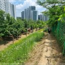 내곡동272 이미지