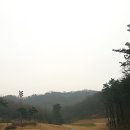 숲에그린골프클럽 이미지