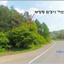 보은삼거리 이미지