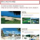 휘닉스파크관광단지 이미지