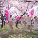 꽃보라동산 이미지