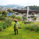 영월읍사무소 이미지