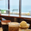 카페꽁냥 이미지