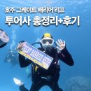호주 케언즈 그레이트 배리어 리프 투어 후기 | 투어사 고르는 법 총정리