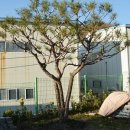 주식회사 삼도