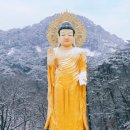 법주사 - 1597 | 법주사