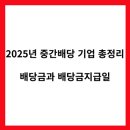 에스와이에프엔비