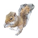 이상은 살아있다. | 영국/런던🇬🇧] 런던에서 마주한 영국판 "박물관은 살아있다" 그리고 내 심장을 앗아간 귀욤동이 친구를...