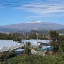 바라기펜션 이미지