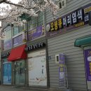 (오땡큐)천연 머리 염색 이미지