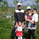 다희농장 이미지