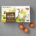 농업회사법인 가농바이오(주) 이미지