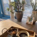 강변유원지길 | [여주 강변유원지 카페] 미지니카페 쌍화차·아메리카노 솔직후기, 전통차 감성 책읽기 좋은 곳