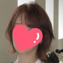 테슬컷 이미지