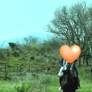 에코승마아카데미 이미지