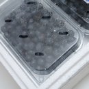 영남과일마트
