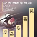 제2 전성기 연 경매시장… 아파트 114% 상가 298% 급증 이미지