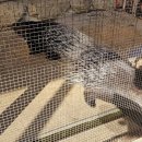 금진농장 이미지