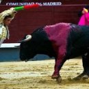 퀘렌시아 이미지