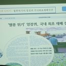 영농법인임실생약 이미지