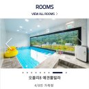 주식회사 아치킹 | 애견동반 풀빌라/수영장 펜션 정리중(수도권)