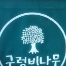 나무와피자 이미지