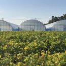 우하하농장 이미지