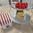 The 뽑기 짱(궁동점) | 1월 일상 :: 인스파이어 리조트 | 아펠가모 선릉 하객 후기 | 성수 조구만 라인프렌즈샵 | 위고비 효과...