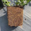 세근농장 이미지