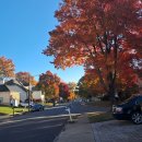 여기는 뉴저지 이미지