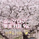 앞산 맛둘레길 바닥 | 대구 벚꽃 명소 앞산 카페 9곳 실시간 포토존 데이트 코스 추천