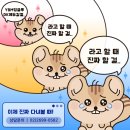 양서중학교 이미지