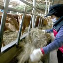 소라축산 이미지