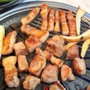 백년농장 이미지