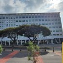 아이디어안경노형점 | 제주도 아이디어안경노형점 후기.