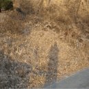 서구-02-100 이미지