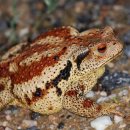 기독어린이집 이미지