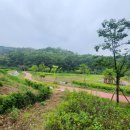 사천근린공원 이미지