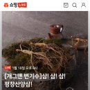 평창산양삼특구영농조합 + 개그맨 변기수 산양삼 쇼핑라이브 콜라보 이미지