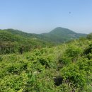 몽산142